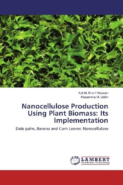 Nanocellulose Production Using Plant Biomass: Its Implementation (Paperback)