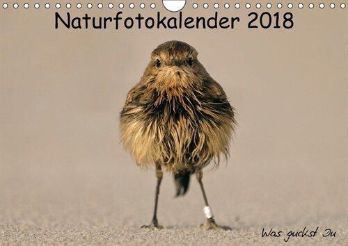 Naturfotokalender 2018 (Wandkalender 2018 DIN A4 quer) (Calendar)