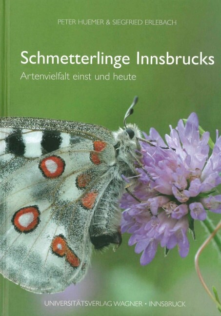 Schmetterlinge Innsbrucks. Artenvielfalt einst und heute (Hardcover)