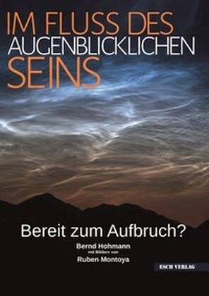 Im Fluss des Augenblicklichen Seins (Paperback)