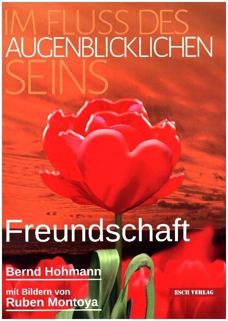 Im Fluss des augenblicklichen Seins: Freundschaft (Paperback)