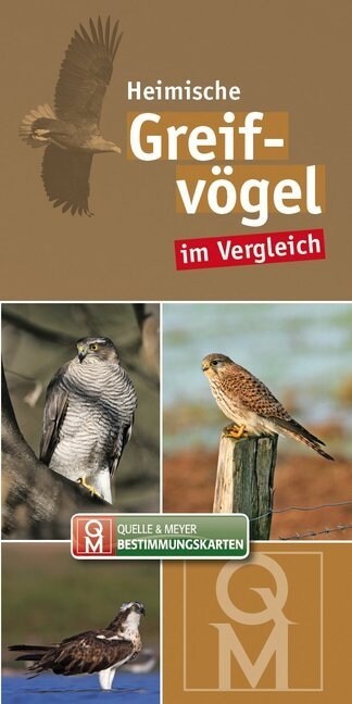 Heimische Greifvogel im Vergleich, Bestimmungskarte (Cards)