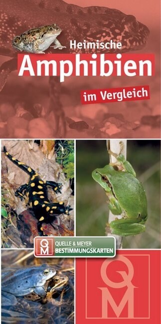 Heimische Amphibien im Vergleich, Bestimmungskarten (Cards)