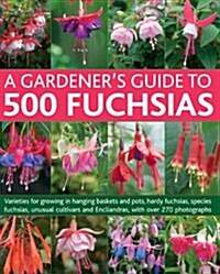 Gardeners Guide to 500 Fuchsias (Paperback)