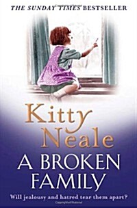 A Broken Family (Paperback)