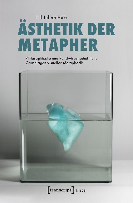 Asthetik der Metapher (Paperback)