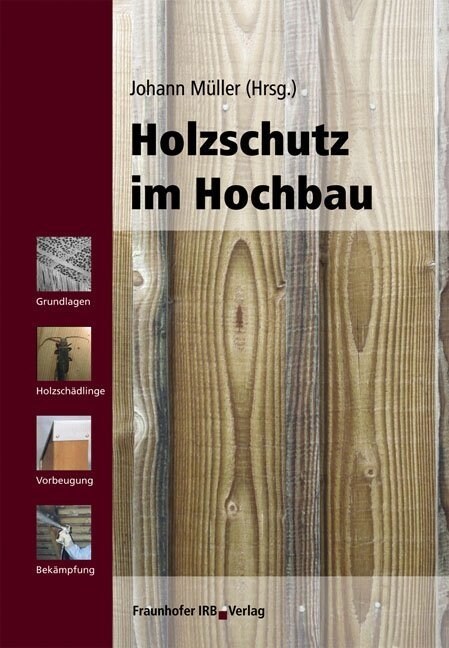 Holzschutz im Hochbau (Hardcover)