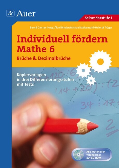 Mathe 6, Bruche & Dezimalbruche, m. CD-ROM (Paperback)