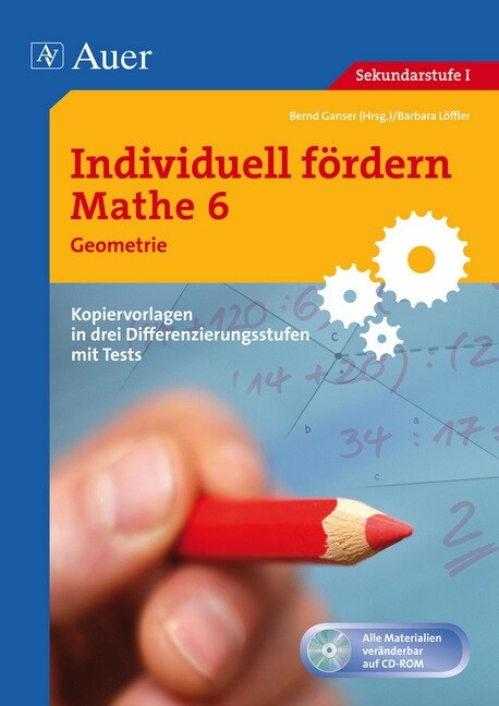 Mathe 6, Geometrie, m. CD-ROM (Paperback)