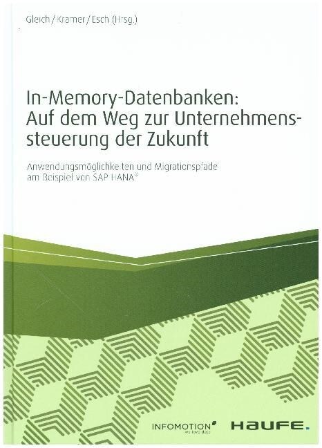 In-Memory-Datenbanken: Auf dem Weg zur Unternehmenssteuerung der Zukunft (Hardcover)