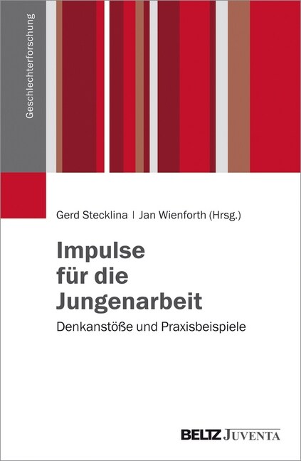 Impulse fur die Jungenarbeit (Paperback)