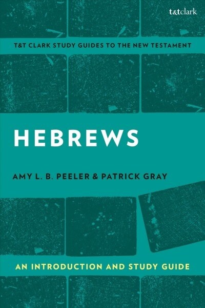Hebrews: An Introduction and Study Guide (Paperback)
