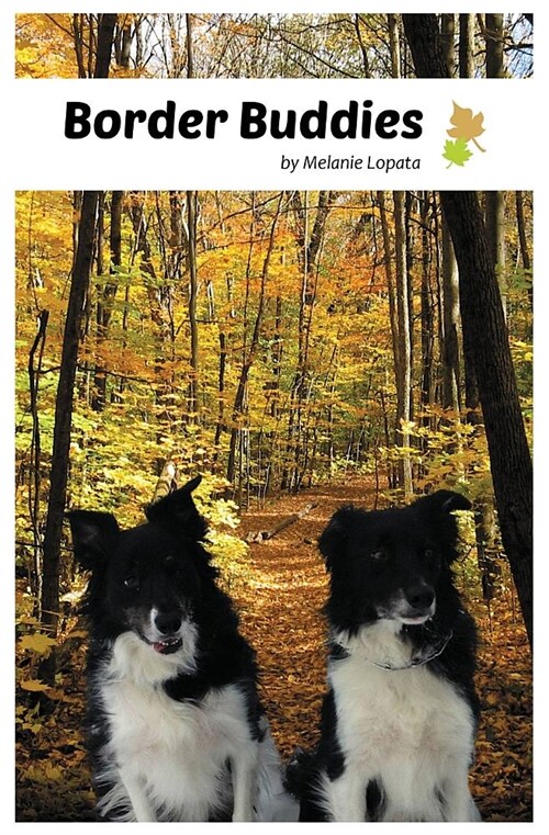 Border Buddies (Paperback)