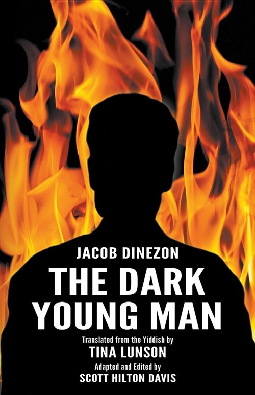 The Dark Young Man (Paperback)