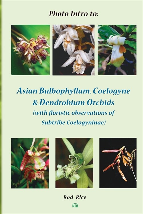 Photo Intro to: Asian Bulbophyllum, Coelogyne & Dendrobium Orchids (with Floristic Observations of Subtribe Coelogyninae) (Paperback)