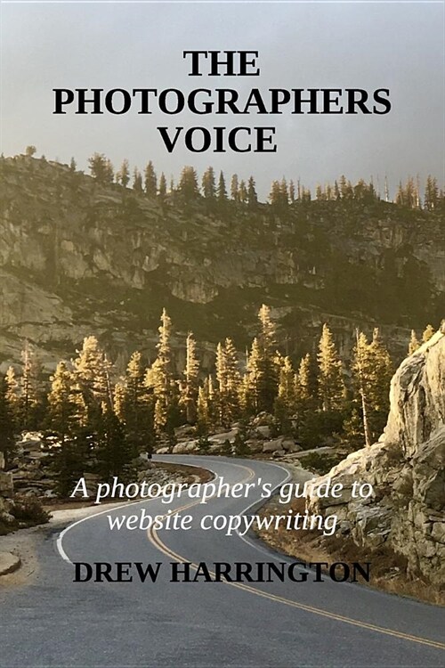 The Photographers Voice: A Photographers Guide to Website Copywriting (Paperback)