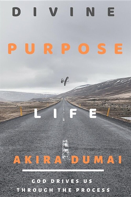 Divine Purpose of Life: God Drives Us Through the Process (Paperback)