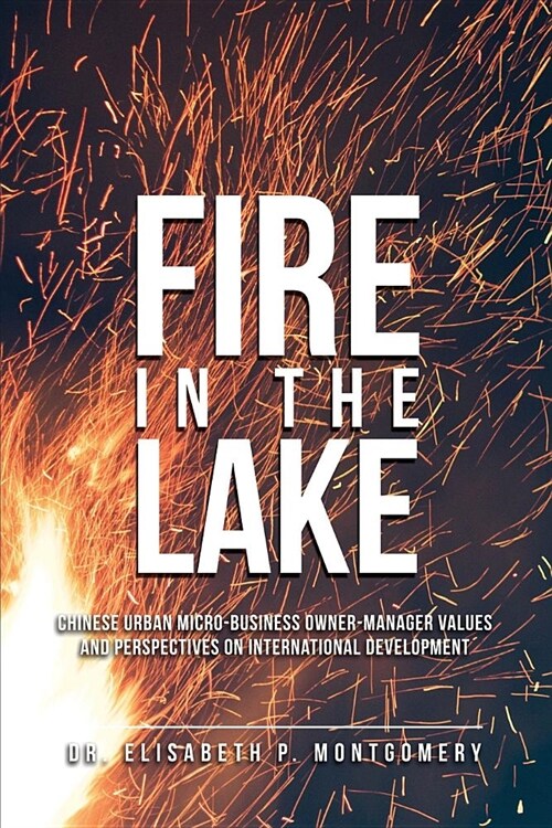 Fire in the Lake: Chinese Urban Micro-Business Owner-Manager Values and Perspectives on International Development (Paperback)