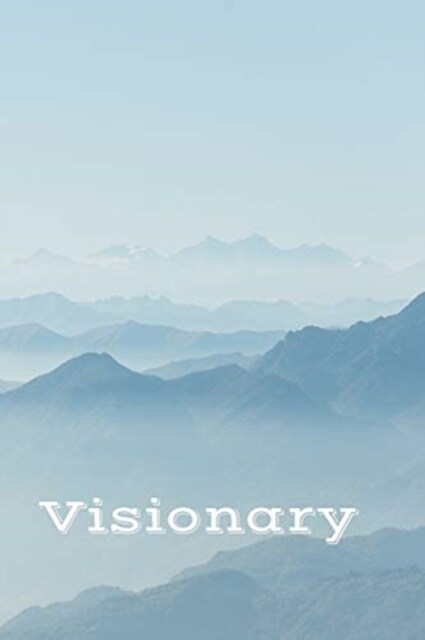 Visionary (Paperback)