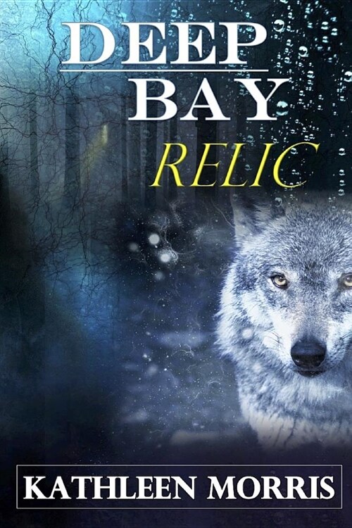 Deep Bay Relic - A Christian Mystery Suspense (Paperback)