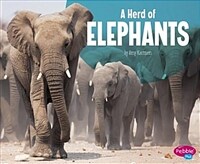 A Herd of Elephants (Paperback)
