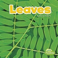 Leaves (Paperback)