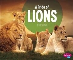 A Pride of Lions (Paperback)
