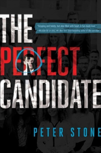 The Perfect Candidate (Paperback, Reprint)