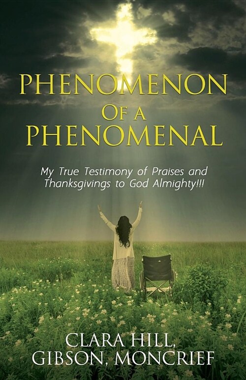 Phenomenon of a Phenomenal (Paperback)