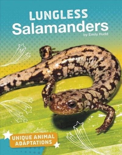 Lungless Salamanders (Hardcover)