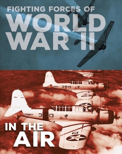 Fighting Forces of World War II in the Air (Hardcover)