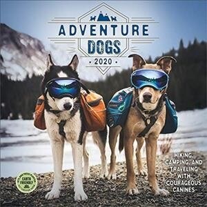 Adventure Dogs 2020 Wall Calendar: Hiking, Camping, and Traveling with Courageous Canines (Wall)