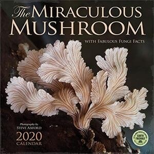 Miraculous Mushroom 2020 Wall Calendar: With Fabulous Fungi Facts (Wall)