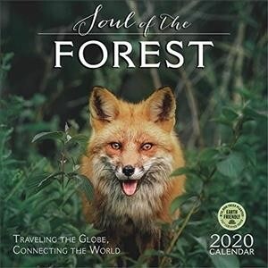 Soul of the Forest 2020 Wall Calendar: Traveling the Globe, Connecting the World (Wall)