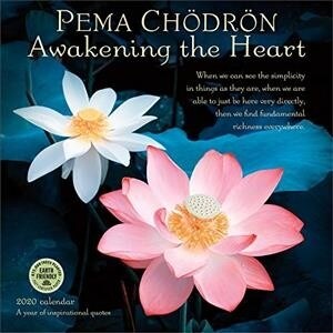 Pema Chodron 2020 Wall Calendar: Awakening the Heart (Wall)