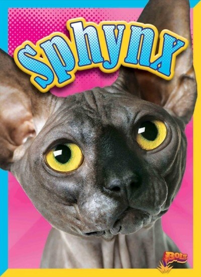 Sphynx (Paperback)