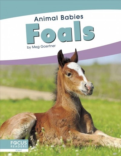 Foals (Library Binding)