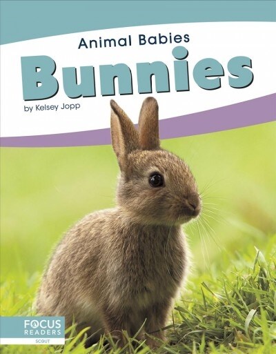 Bunnies (Library Binding)