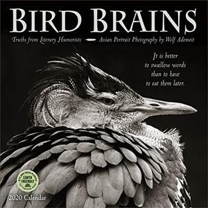 Bird Brains 2020 Wall Calendar: Truths from Literary Humorists (Wall)