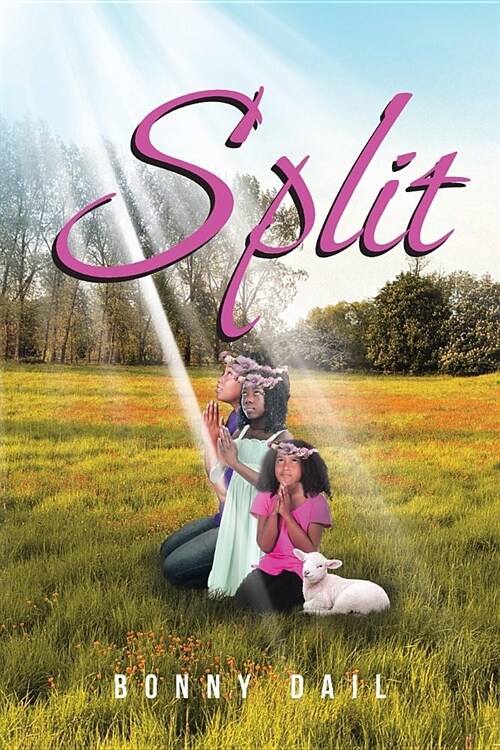 Split (Paperback)