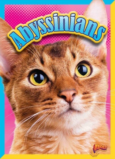 Abyssinians (Paperback)