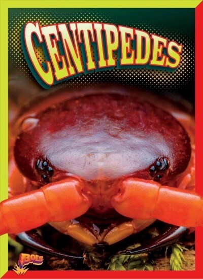 Centipedes (Paperback)