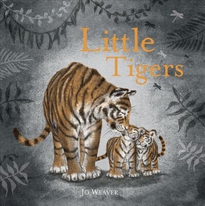 Little Tigers (Hardcover)