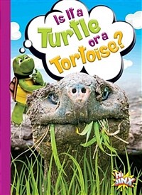 Is It a Turtle or a Tortoise? (Paperback)