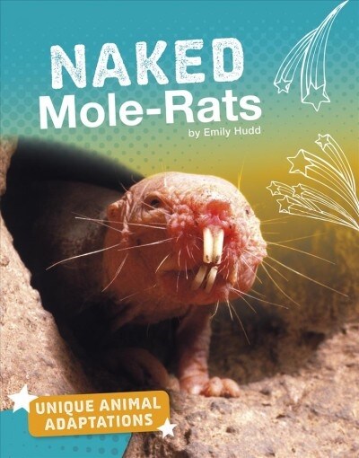 Naked Mole-Rats (Hardcover)