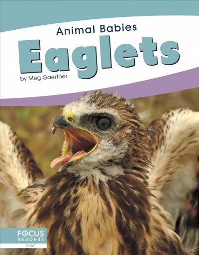 Eaglets (Library Binding)