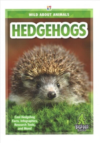 Hedgehogs (Paperback)