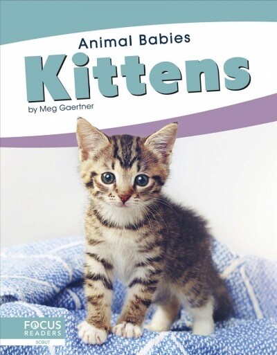 Kittens (Paperback)