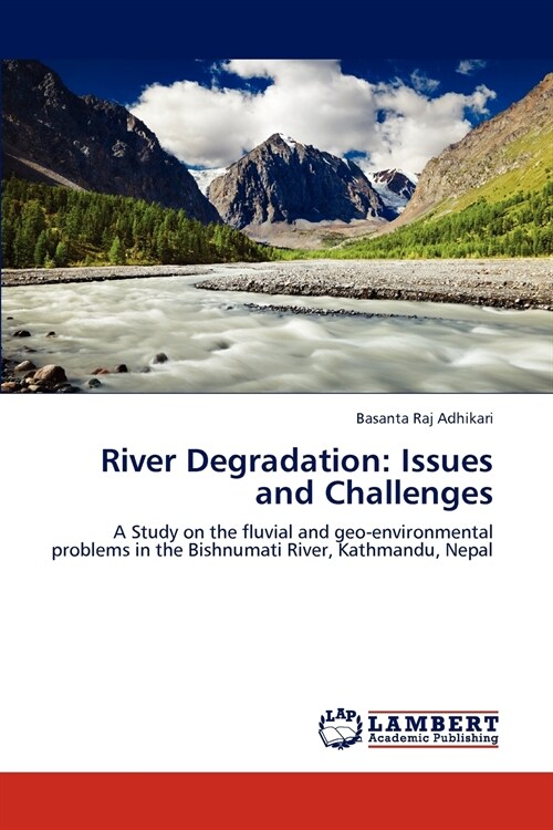 River Degradation: Issues and Challenges (Paperback)