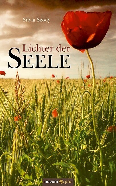 Lichter Der Seele (Paperback)